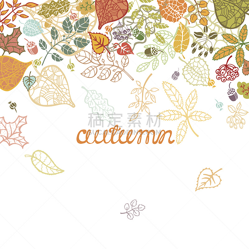 枝,叶子,矢量,秋天,浆果,橡树果,美,褐色,纹理效果,九月