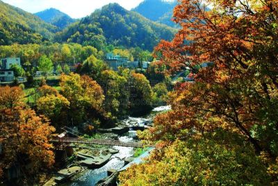 秋天,温泉,札幌,北海道,风景,黄色,红色,图像,叶子,足浴