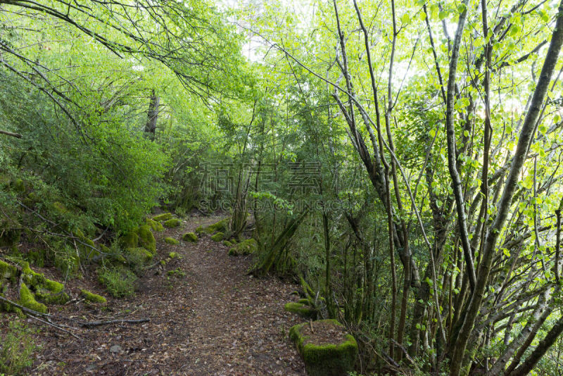 托拉,韦斯卡,宝丽丝山脉,地形,在之间,ordesa national park,阿拉贡,水,天空,水平画幅