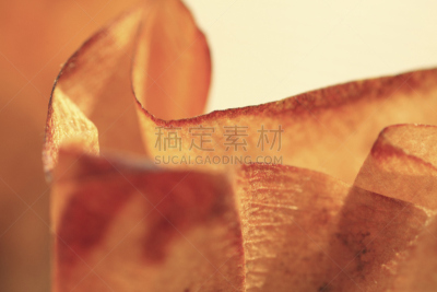 咖啡滤纸,室内,褐色,水平画幅,彩色图片,无人,日本,特写,摄影,过滤