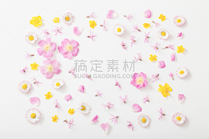 夏天,白色背景,玫瑰,周年纪念,贺卡,边框,浪漫,情人节卡,复古风格,毛茛属植物