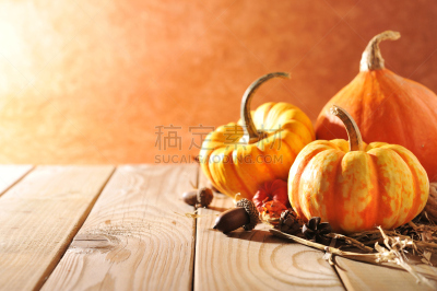 南瓜,三个物体,acorn squash,宫灯百合,酸浆属,亮色调,留白,干草,水平画幅,风化的