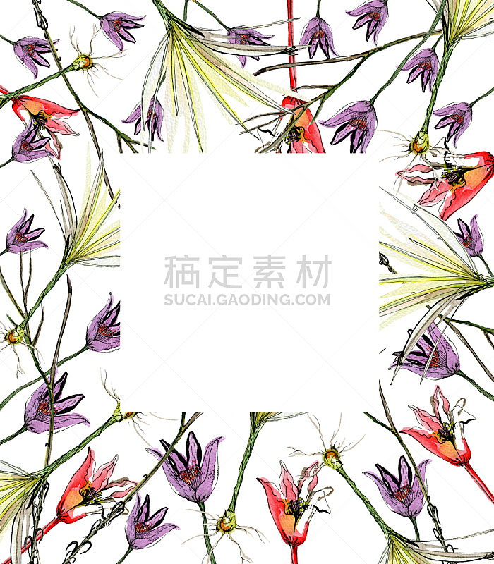 边框,植物学,花鳞茎,花朵,多色的,垂直画幅,绘画插图,美,兰花,贺卡