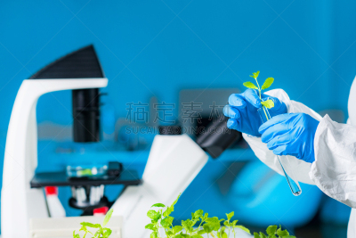 生物学家,秧苗,实验室,植物,成年的,手,技术员,科学家,植物学家