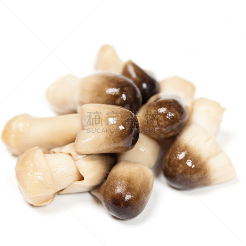 草菇,饮食,有机食品,方形画幅,完整,稻草,食用菌,食盐,亚洲,晚餐