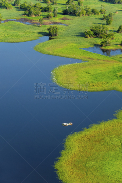 亚马孙洲,马瑙斯,热带气候,客轮,植物,河流,巴西,热带树,户外,雨林