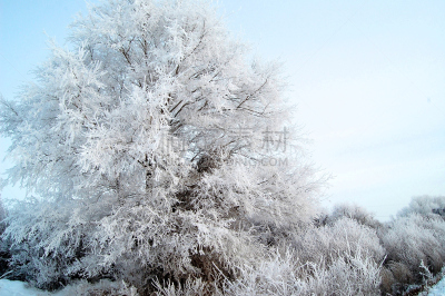冻结的,冬天,暴风雨,冬季服务,水平画幅,地形,雪,无人,极地漩涡,高架道路