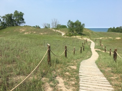 沙丘,木板路,田园风光,地形,户外,季节,夏天,绿色,宁静,越野赛跑