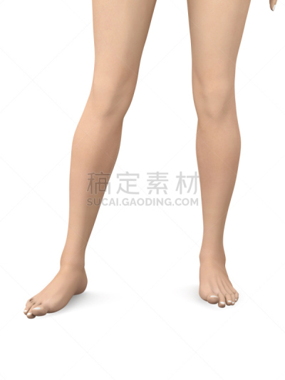 踝,垂直画幅,美,四肢,形状,人类脚趾,绘画插图,美人,人类肌肉,计算机制图