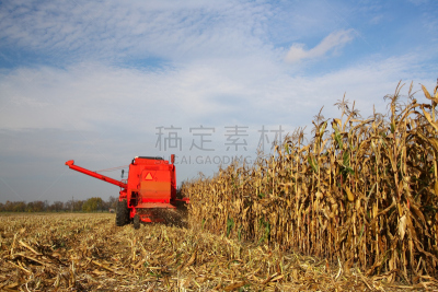 联合收割机,红松,科汐湾,天空,水平画幅,无人,古老的,陆用车,玉米,彩色图片
