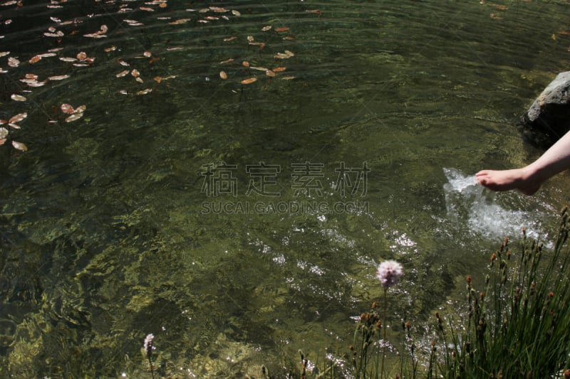 足浴,水没脚踝,水,四肢,腿,健康,湖,想法,海滩,健康生活方式