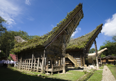 特拉加,乡村,木隔板,著名景点,有角的,茅屋屋顶,屋顶,水牛,建筑