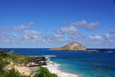 海滩,兔子,水,人,水平画幅,沙子,夏天,户外,干净,海浪