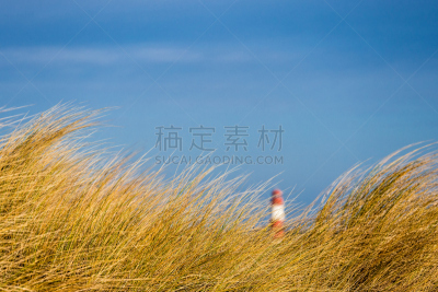 波罗的海,沙丘,天空,滨草,水平画幅,无人,户外,灯塔楼,草,云景