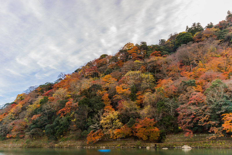 河流,秋天,叶子,嵯峨野,片山,岚山,京都府,里山,水平画幅,无人