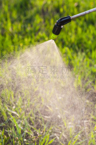 庭院,洒水机,撒下,垂直画幅,水,郊区,无人,湿,夏天,户外