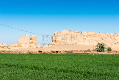 达禾赖绿洲,埃及,自然,水平画幅,沙子,无人,非洲,户外,干的,湖