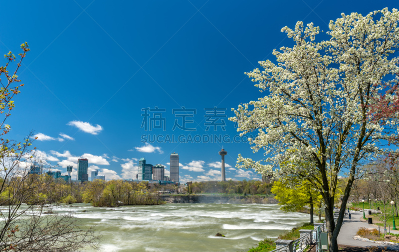 都市风景,侧面视角,湖畔市,马蹄铁瀑布,尼亚加拉河,尼亚加拉瀑布,加拿大文明,樱花,广场,安大略省