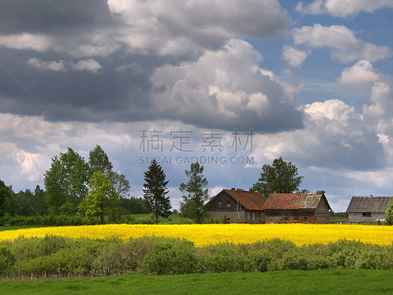 农场,春天,气泵,自然,天空,草地,水平画幅,绿色,地形,无人