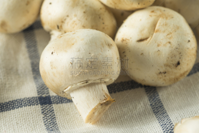 白蘑菇,白色,有机食品,婴儿,生食,褐色,水平画幅,素食,组物体,篮子