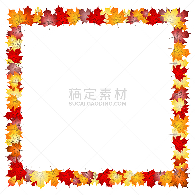边框,叶子,自然,留白,美国,橙色,枫叶,秋天,无人,绘画插图