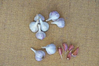 熟的,大蒜,芳香的,水平画幅,素食,无人,生食,家庭生活,维生素,组物体