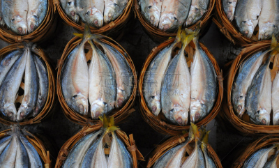 篮子,鲭鱼,清新,动物嘴,水平画幅,银色,生食,海产,动物身体部位,特写