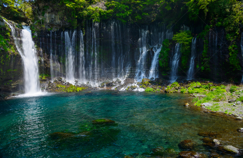 shiraito falls,富士宫,富士箱根伊豆国立公园,静冈县,富士山,美,里山,水平画幅,瀑布,美人