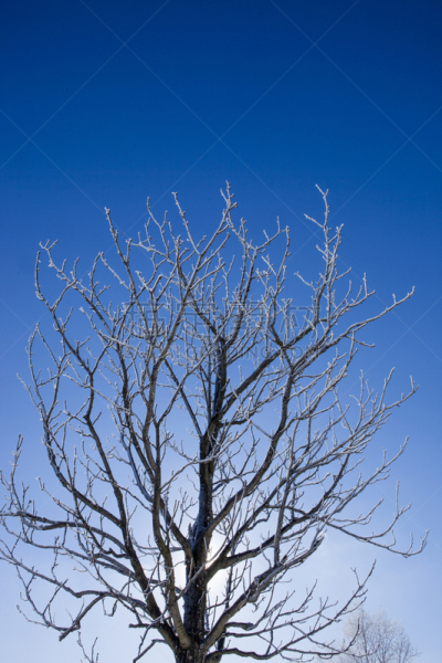 冬天,加拿大,垂直画幅,天空,雪,无人,户外,雪燕,戏剧性的天空,北美