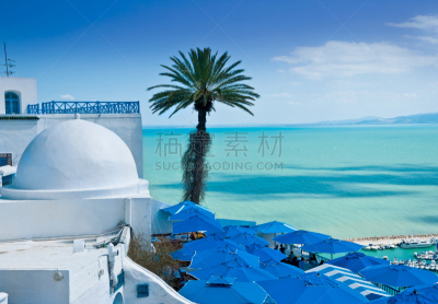 突尼斯市,西迪布萨德,水,天空,半球体,夏天,棕榈树,都市风景,白色,彩色图片