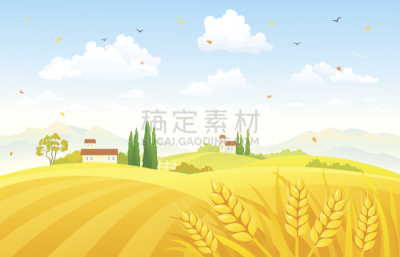 田地,秋天,小麦,农作物,绘画插图,天空,风,山,计算机制图,计算机图形学