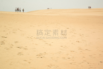 沙丘,自然,北卡罗来纳,州立公园,美国,水平画幅,沙子,无人,户外,老马海滩