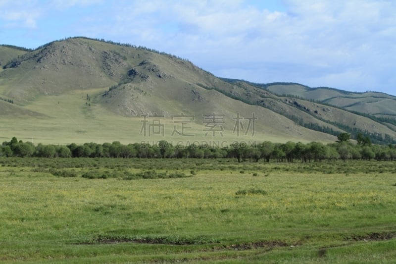 自然,草地,柳树,水平画幅,野地,地形,山,无人,veldt,丘陵起伏地形