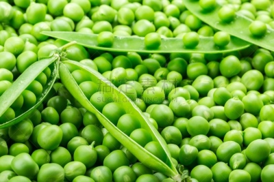 食品,饮食,圆形,豌豆,水平画幅,绿色,豌豆荚,无人,有机食品,一模一样