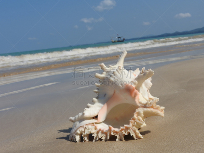 斯特兰德,自然,水,水平画幅,沙子,套色版,夏天,海岸地形,异国情调,户外