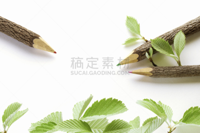铅笔,自然,办公用品,水平画幅,绿色,秧苗,五月,日本,嫩枝,赤豆