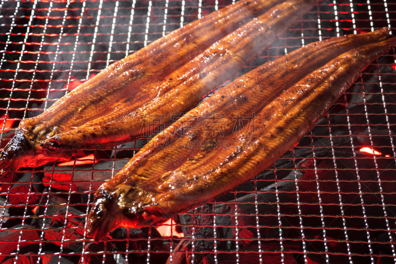 鳗鱼,格子烤肉,鳗蒲烧,烤串,碳烤,串肉签,日本料理,水平画幅,传统,海产