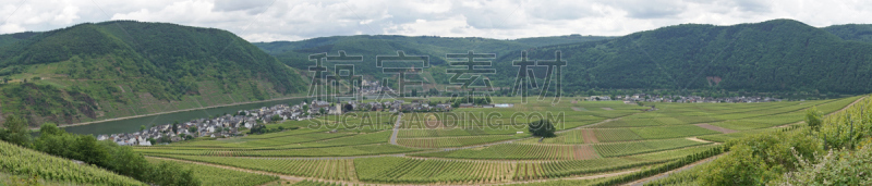 德国,摩泽尔河谷,水平画幅,摩泽尔河,无人,科切姆,户外,葡萄园,著名景点,河流
