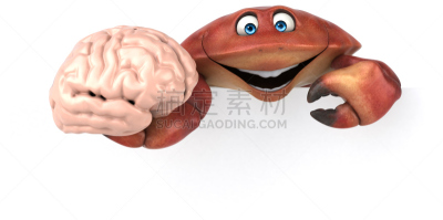 绘画插图,螃蟹,水平画幅,动物内脏,膳食,海产,卡通,锯缘青蟹,脑,脑部