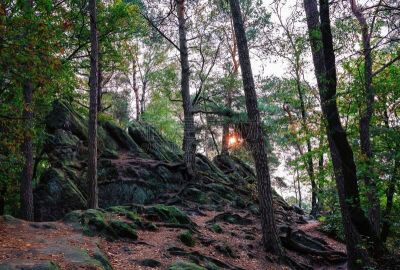 森林,悬崖,沙漠,暴风雨,奥菲莉亚,环境,条顿堡林山,沙岩,伊本贝尔区,尘暴