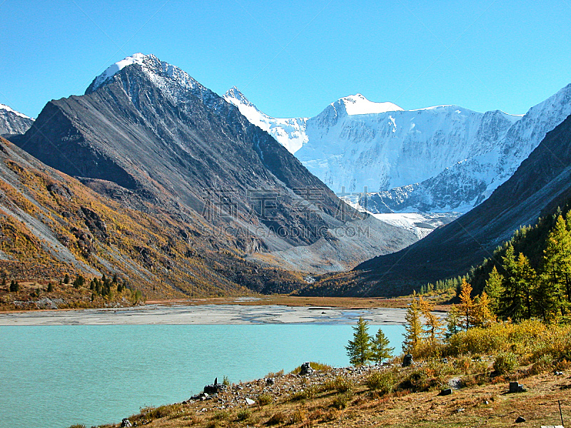 湖,山,西伯利亚,雪,阿尔泰自然保护区,河流,背景,落叶松,岩石,户外