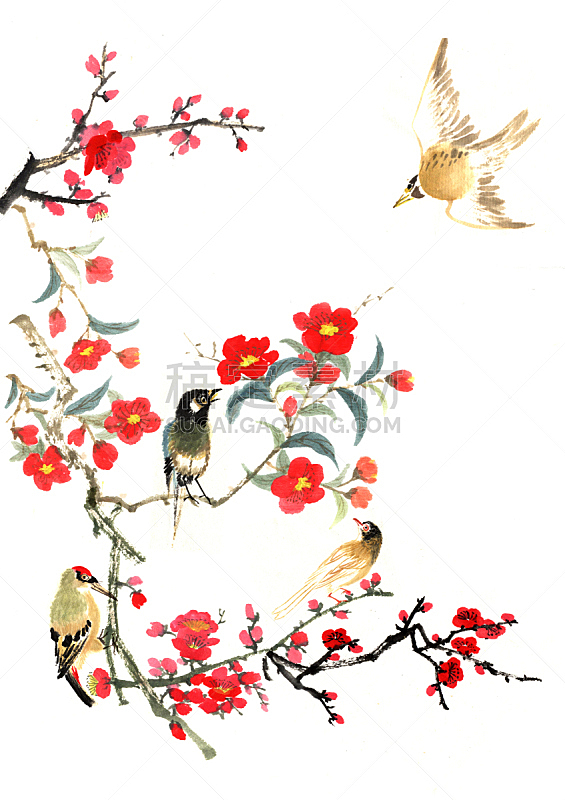 花头,动物,李子,垂直画幅,绘画插图,鸟类,古老的,墨水,古典式