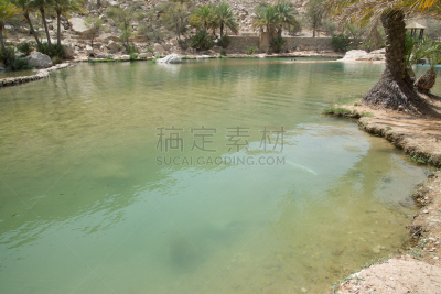 阿曼,河床,水,提威族,水平画幅,游泳池,旅行者,夏天,户外,静水