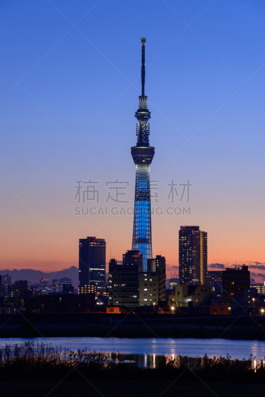 东京天空树,黄昏,垂直画幅,天空,里山,夜晚,曙暮光,旅行者,都市风景,火车站站台