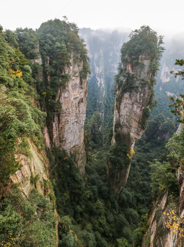 张家界,山,自然,张家界国家森林公园,垂直画幅,国家公园,无人,2015年,森林,户外