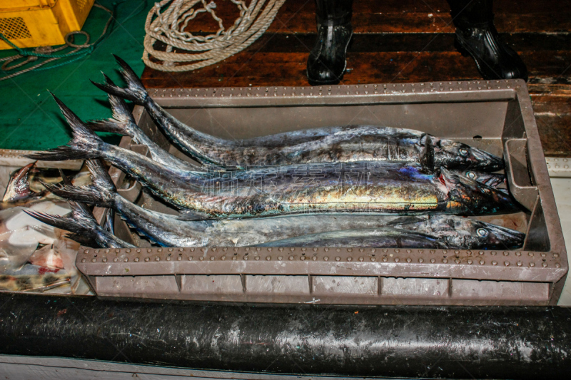 鱼类,死亡的动物,刺鲅,水平画幅,形状,素食,配方,巨大的,生食,膳食