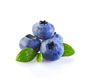 蓝莓,特写,清新,叶子,熟的,风景,美,水平画幅,枝繁叶茂,素食