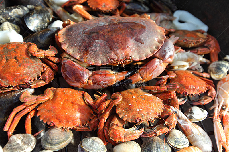 螃蟹,煤,虾,炊具,龙虾,水平画幅,膳食,海产,明虾,特写