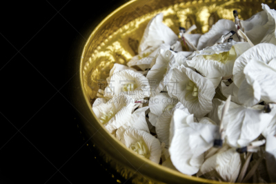 纸花,典礼,葬礼,美,留白,人造的,水平画幅,无人,食物的样式
