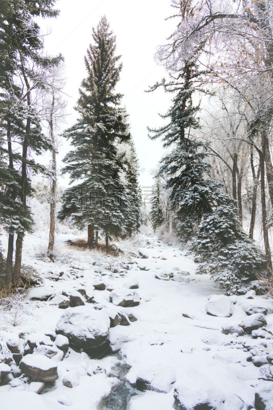 冬天,科罗拉多州,地形,高处,白色,西,垂直画幅,水,天空,雪